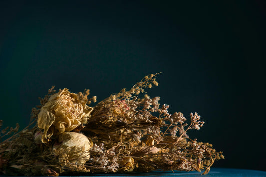 How Long Do Dried and Preserved Flowers Last: 3 Ways to Extend Their Life