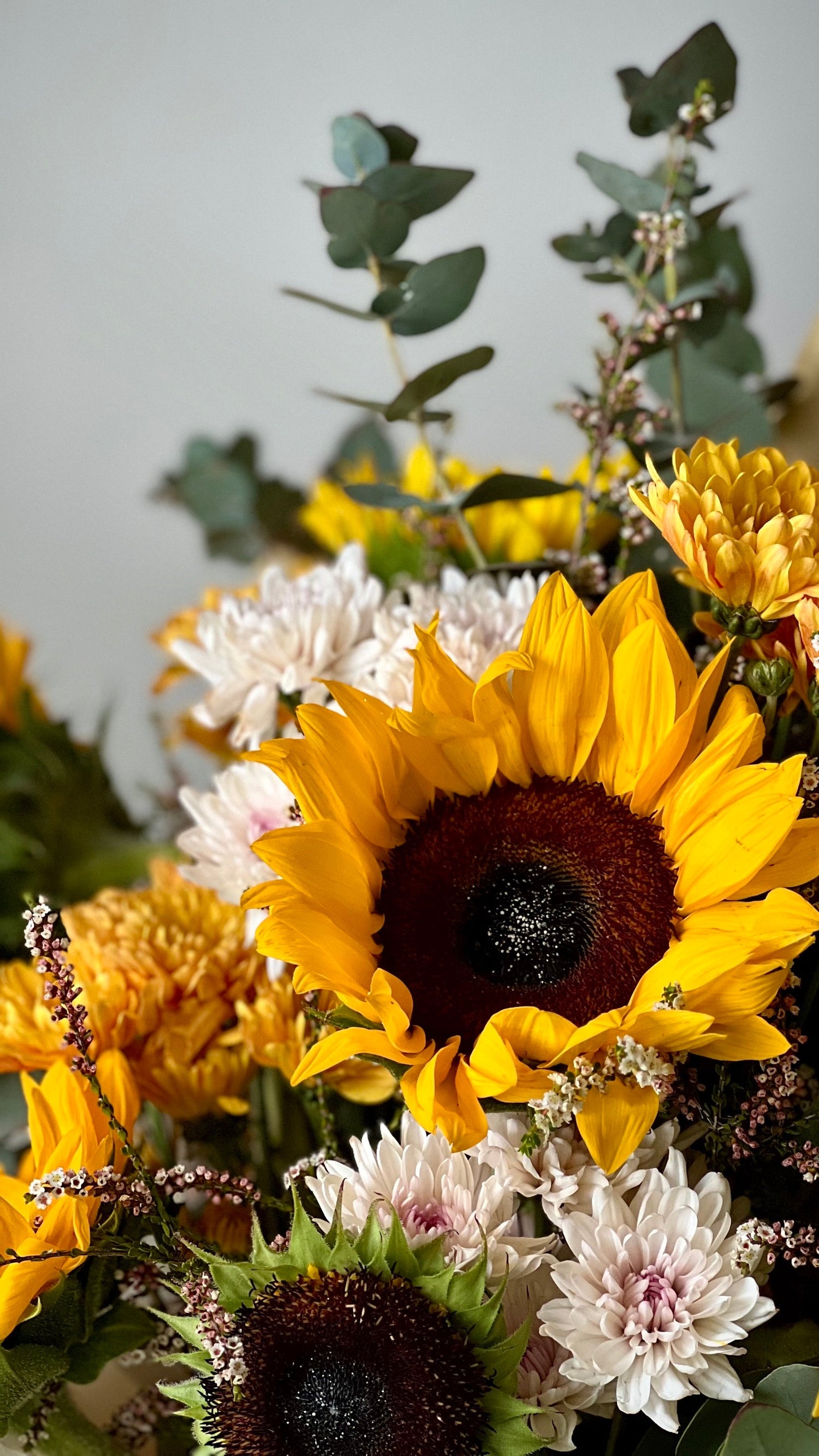 A wide open sunflower flower arrangement with gums by Five Petals Florist.