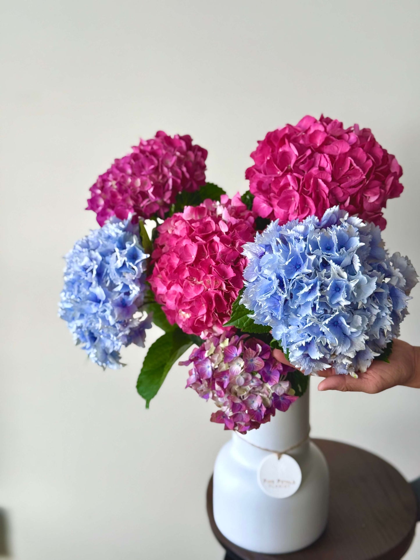 Aurora Blush - Colourful Hydrangeas in Ceramic Vase