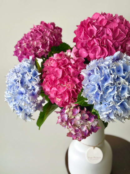 Aurora Blush - Colourful Hydrangeas in Ceramic Vase